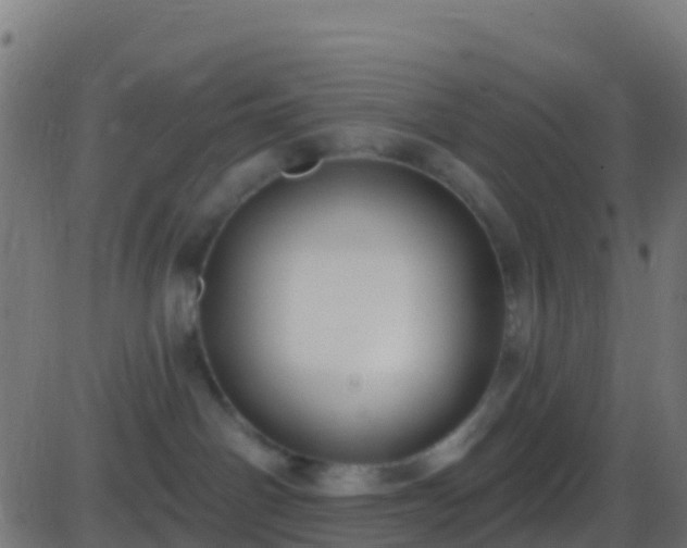 X0000086220142200704051250