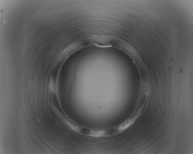 X0000086220143200704051250