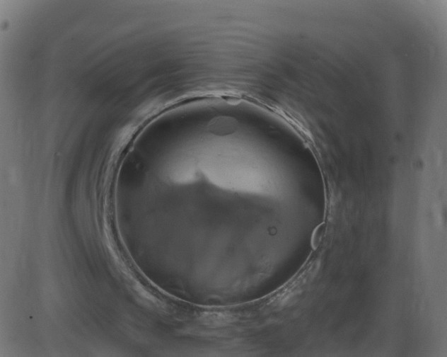 X0000086220145200704051249