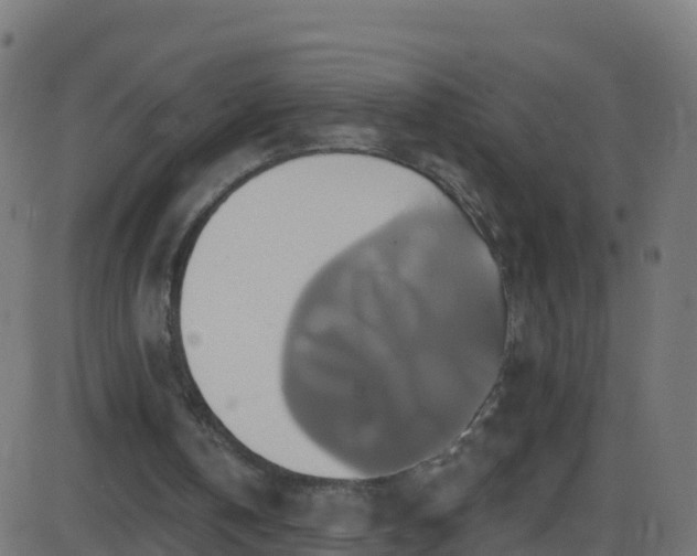 X0000086220146200704051249