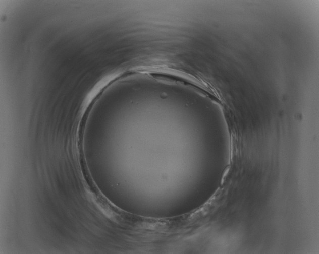 X0000086220147200704051249