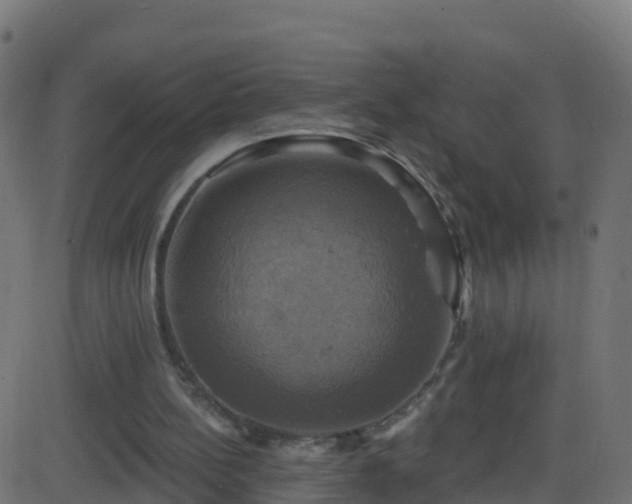 X0000086220148200704051249