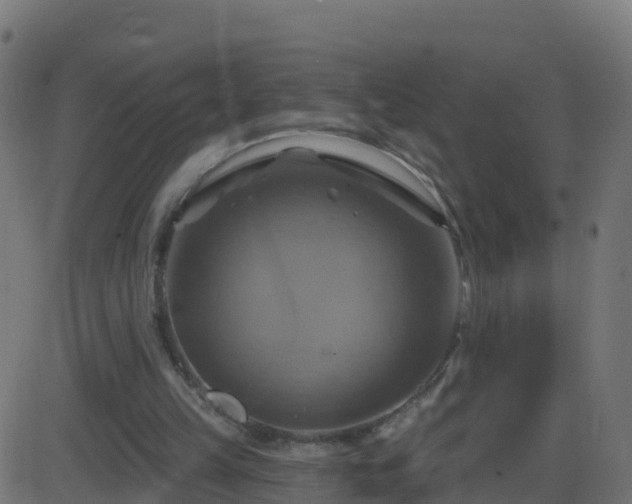 X0000086220149200704051249