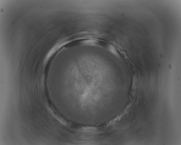 X0000086220150200704051249