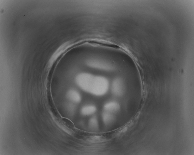 X0000086220151200704051249