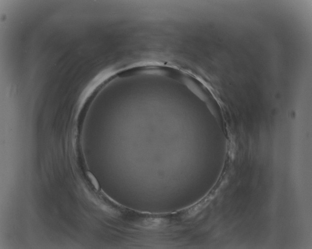 X0000086220152200704051249