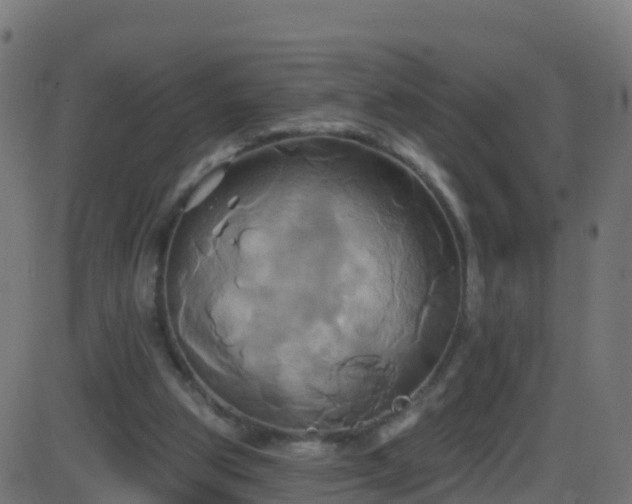 X0000086220153200704051249