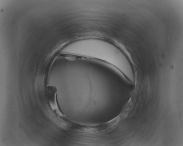 X0000086220154200704051249