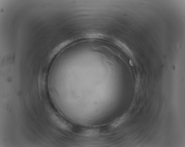 X0000086220155200704051249