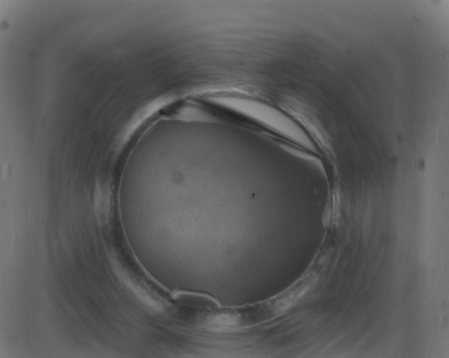 X0000086220156200704051249