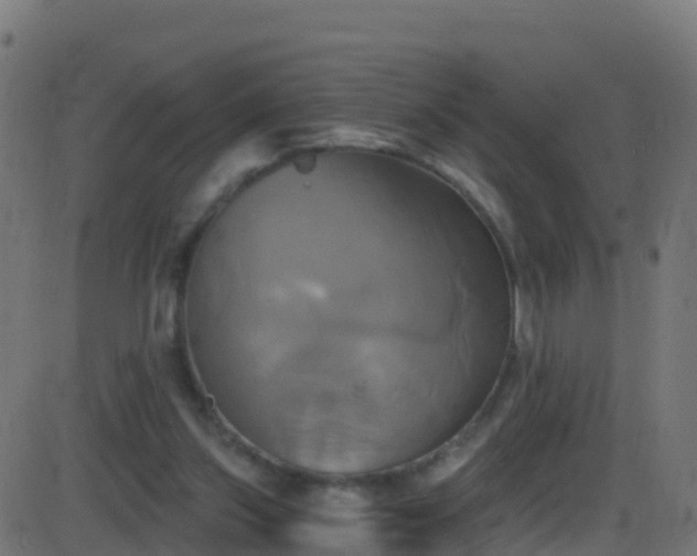 X0000086220157200704051249