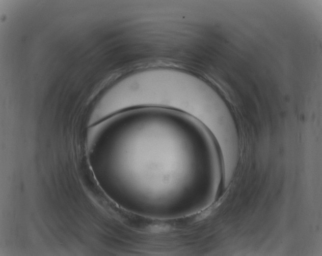 X0000086220158200704051249