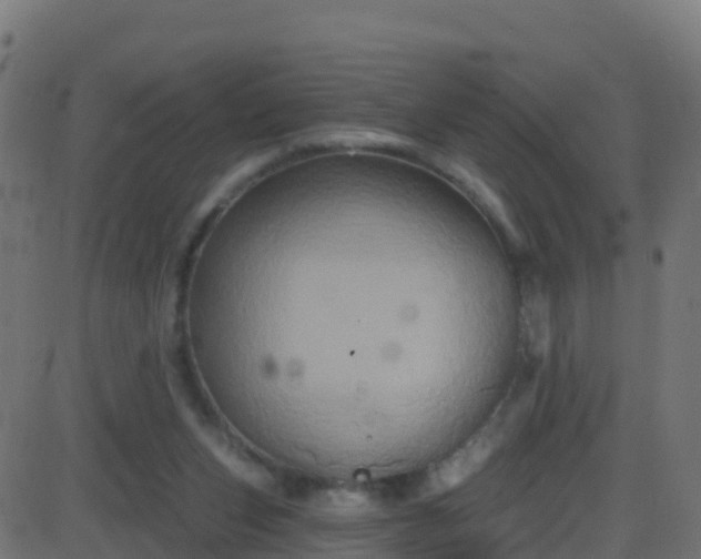 X0000086220159200704051249