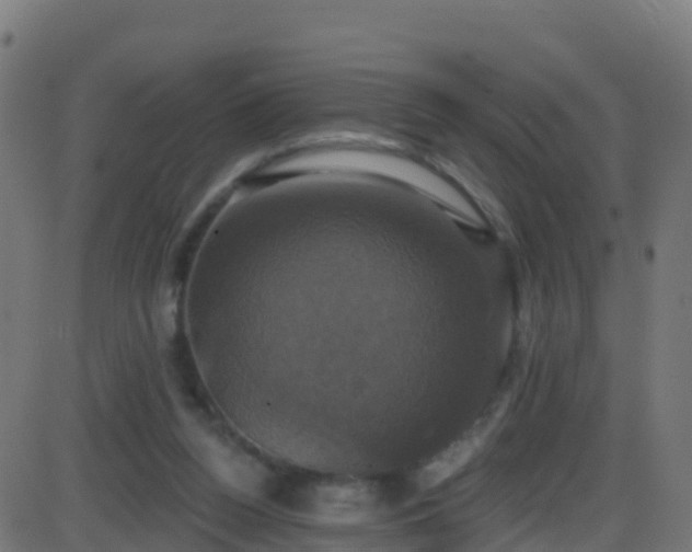 X0000086220160200704051249