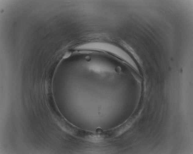 X0000086220161200704051249