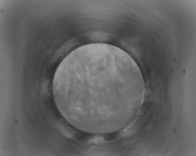 X0000086220162200704051249