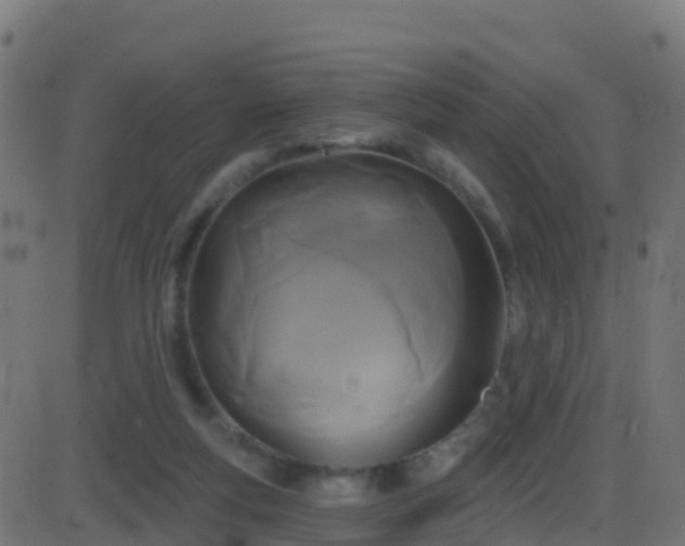 X0000086220163200704051249