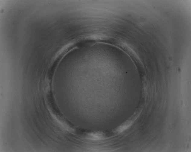 X0000086220164200704051249