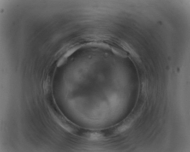 X0000086220165200704051249