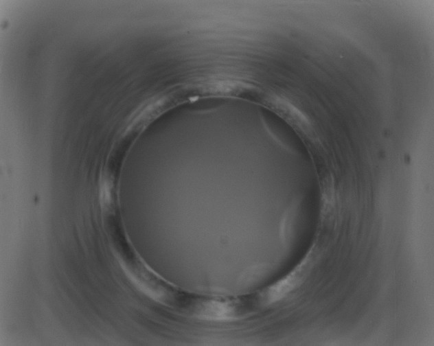 X0000086220166200704051249