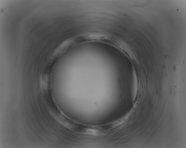 X0000086220167200704051249