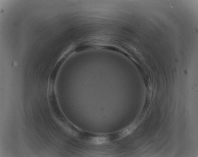 X0000086220168200704051249