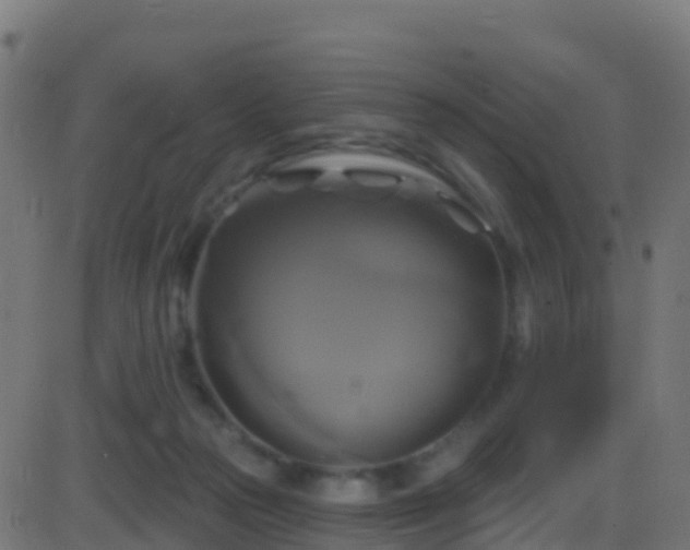 X0000086220169200704051249