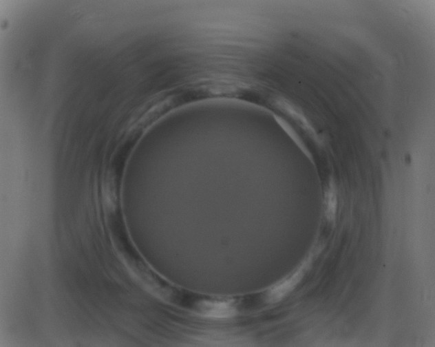 X0000086220170200704051249