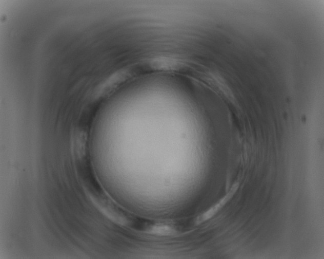 X0000086220171200704051249