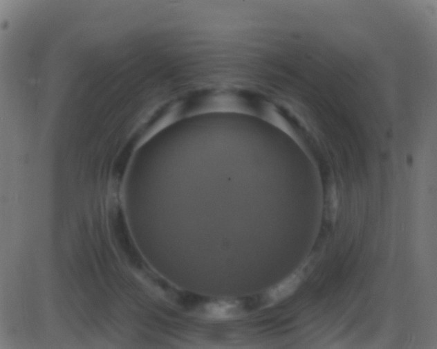 X0000086220172200704051249