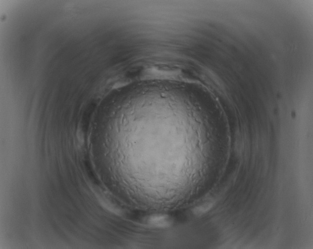 X0000086220173200704051249