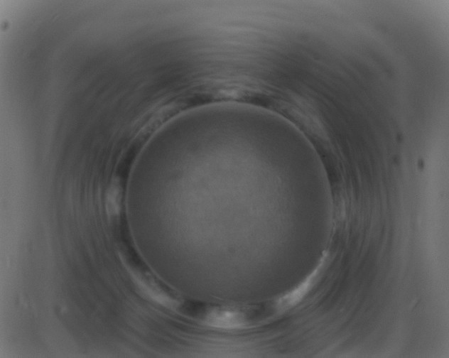 X0000086220174200704051249