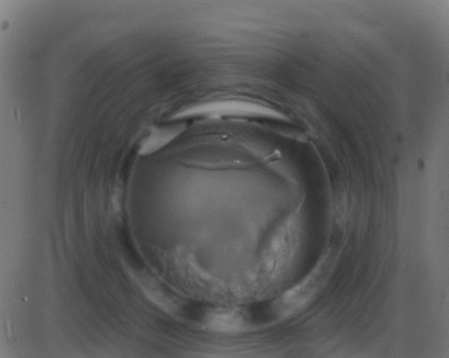 X0000086220175200704051249