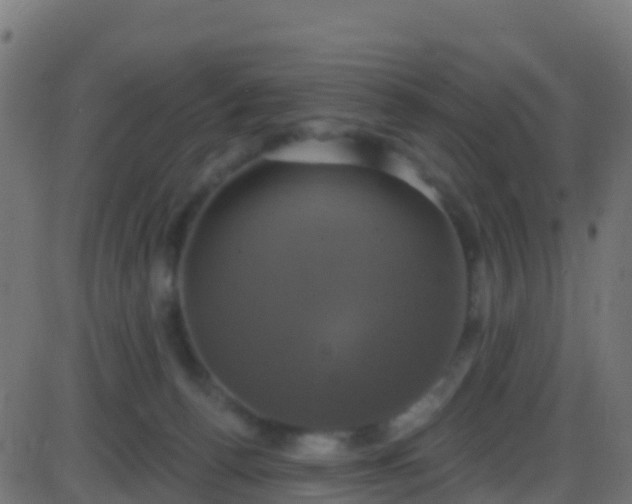 X0000086220176200704051249