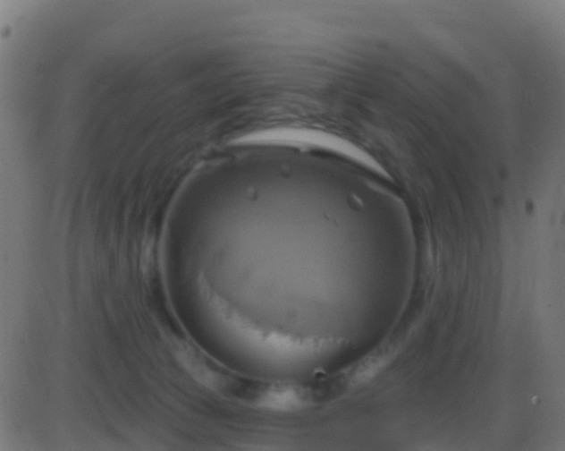 X0000086220177200704051249