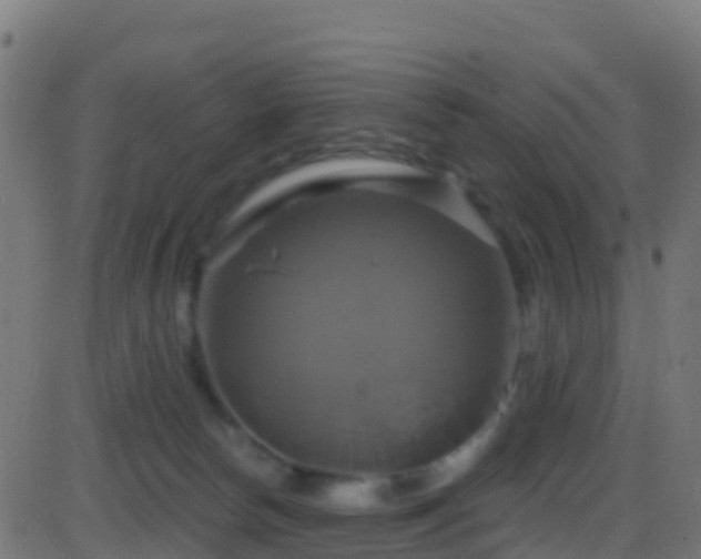 X0000086220178200704051249