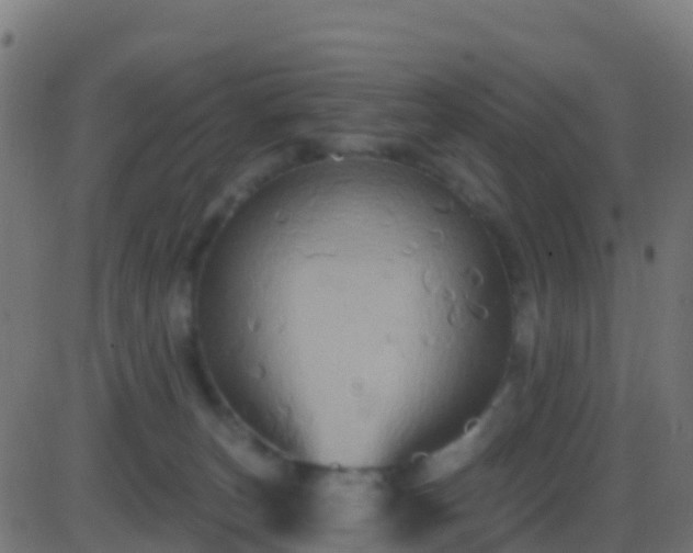 X0000086220179200704051249