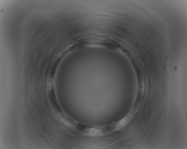 X0000086220180200704051250