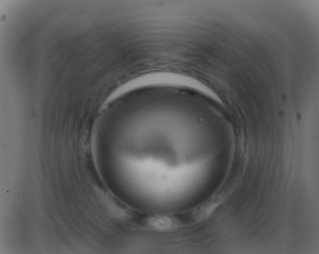 X0000086220181200704051250