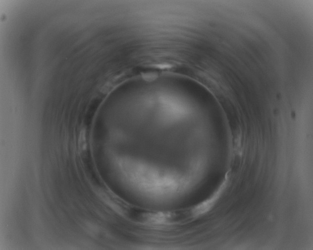 X0000086220182200704051250