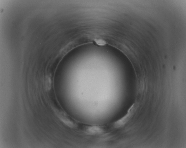 X0000086220183200704051250