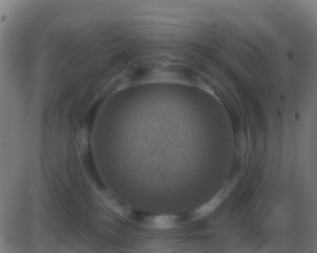 X0000086220184200704051250