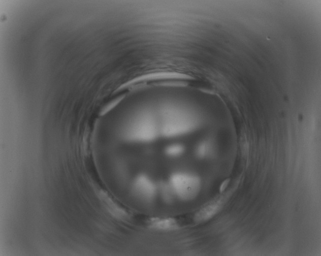 X0000086220185200704051250