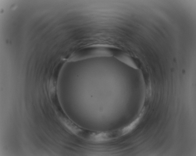 X0000086220186200704051250