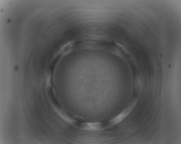 X0000086220188200704051250