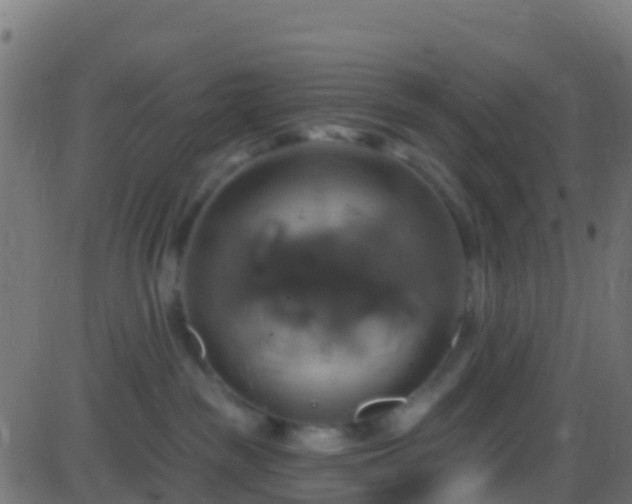 X0000086220189200704051250