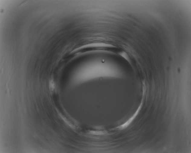 X0000086220190200704051250