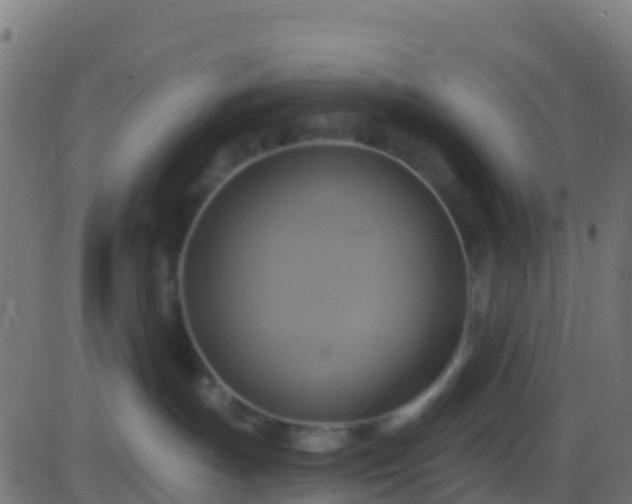 X0000086220191200704051250