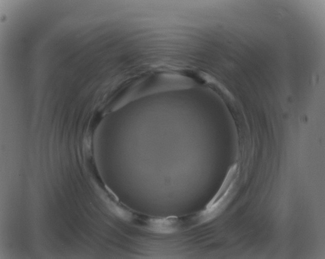 X0000086220192200704051250