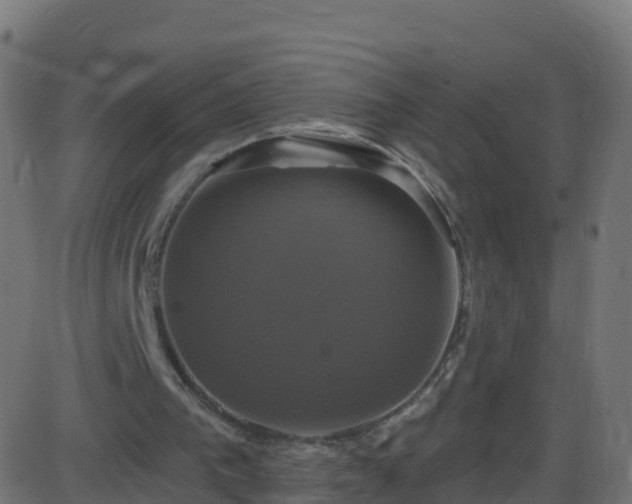 X0000086220193200704051249